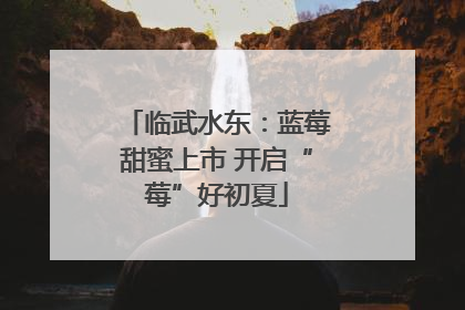 临武水东：蓝莓甜蜜上市 开启“莓”好初夏